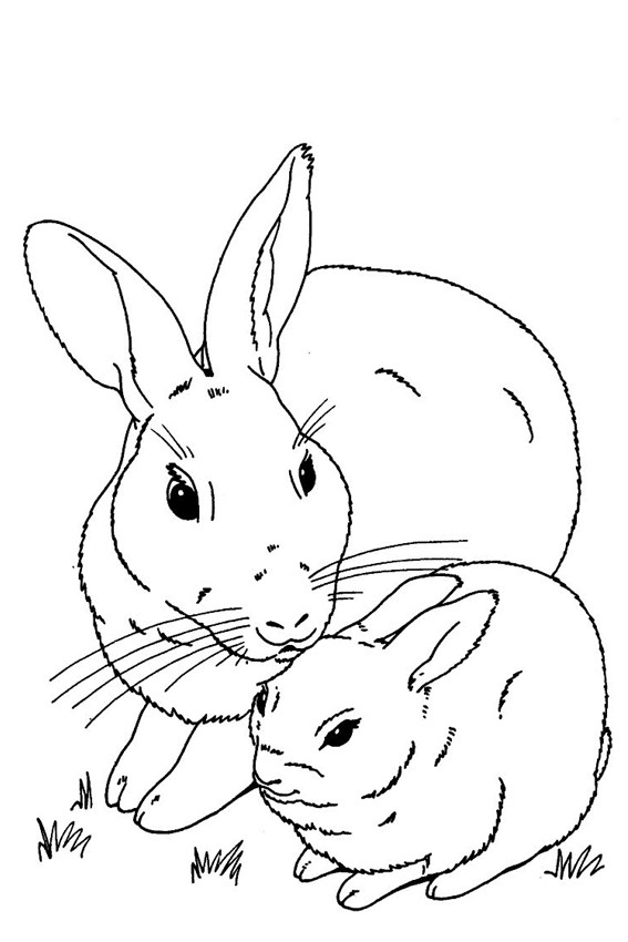 baby easter bunny coloring pages - photo #24