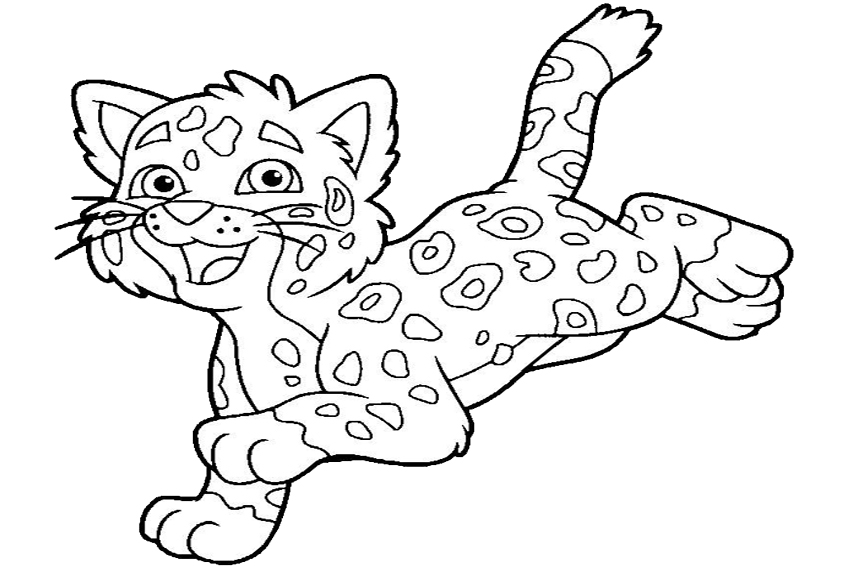 baby jaguar coloring pages - photo #7