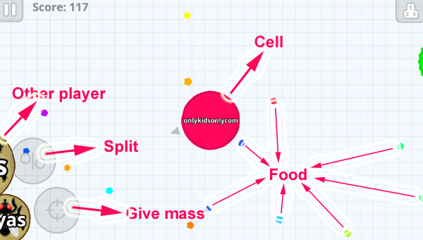 Eat and Be Eaten: How to Survive and Thrive in Agar.io