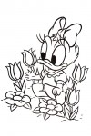 Baby Daisy Duck