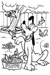Pluto visited by some birds
