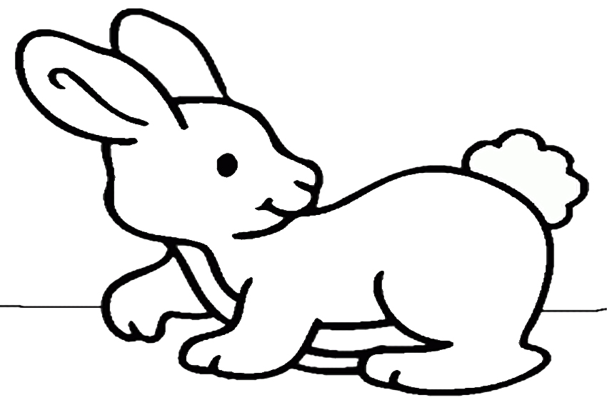 Featured image of post Rabbit Color Drawing For Kids : So many people loved our dinosaur coloring pages, we had to give you more.