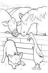 Farm animals