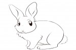 Cute girl bunny