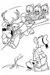 Sledding