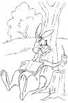 Pooh
