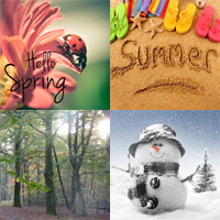 Seasons