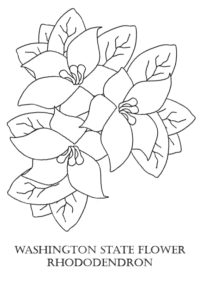 Rhododendron coloring page